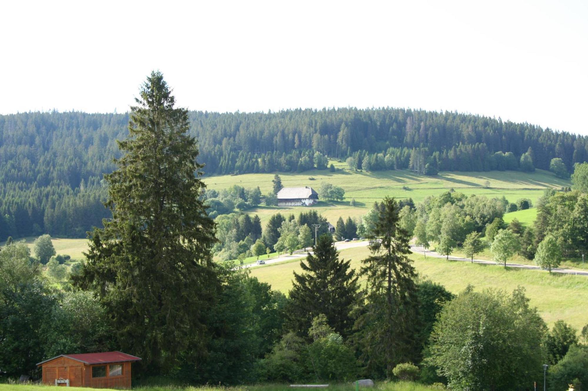 Bergsee سشلوشسي المظهر الخارجي الصورة